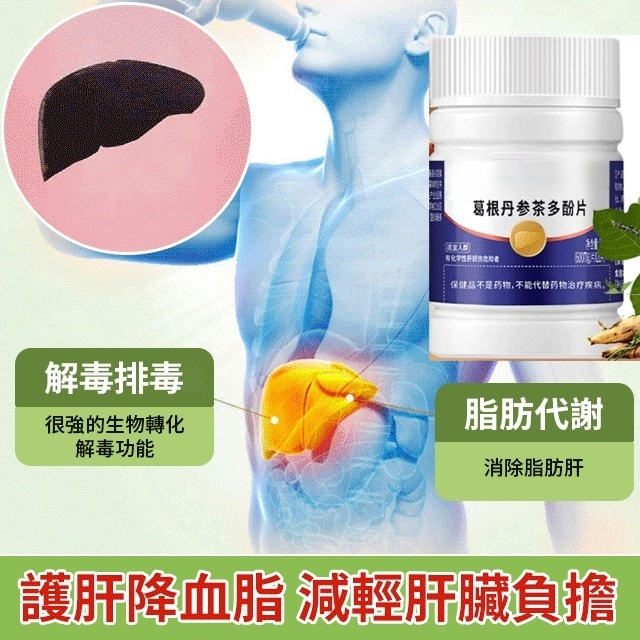 清肝護肝•葛根丹參茶多酚片