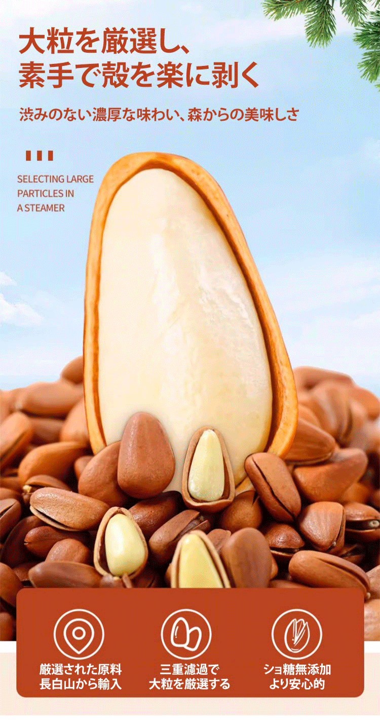 パッケージ入りの長白山産松の実