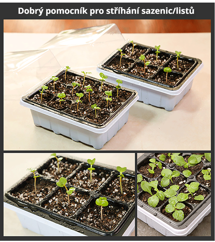 Rychlý růst rostlin díky LED osvětlení