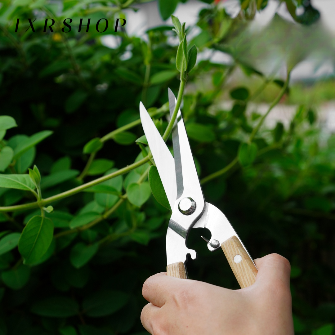 Jardín flores arte floral tijeras