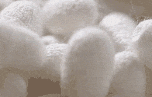 d0881c14392a1831d3912e3dc91a81e4.gif