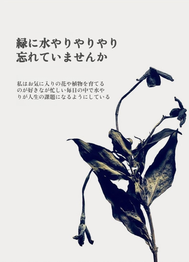 アヒルデザインの自動給水器が観葉植物を潤す様子