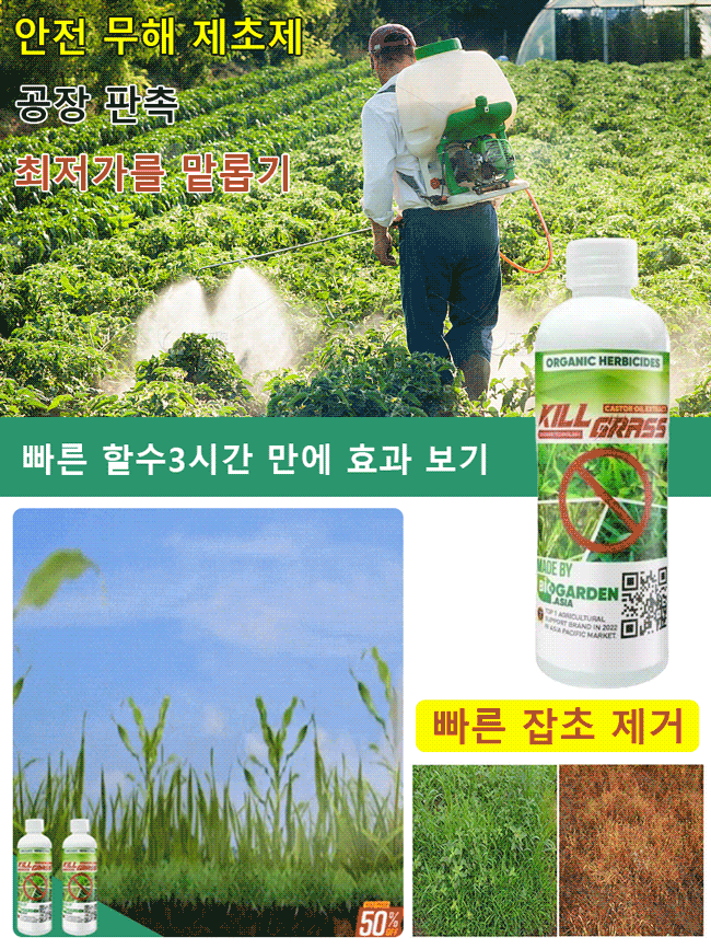 빠른 제초제, 깊은 뿌리 썩음 왕