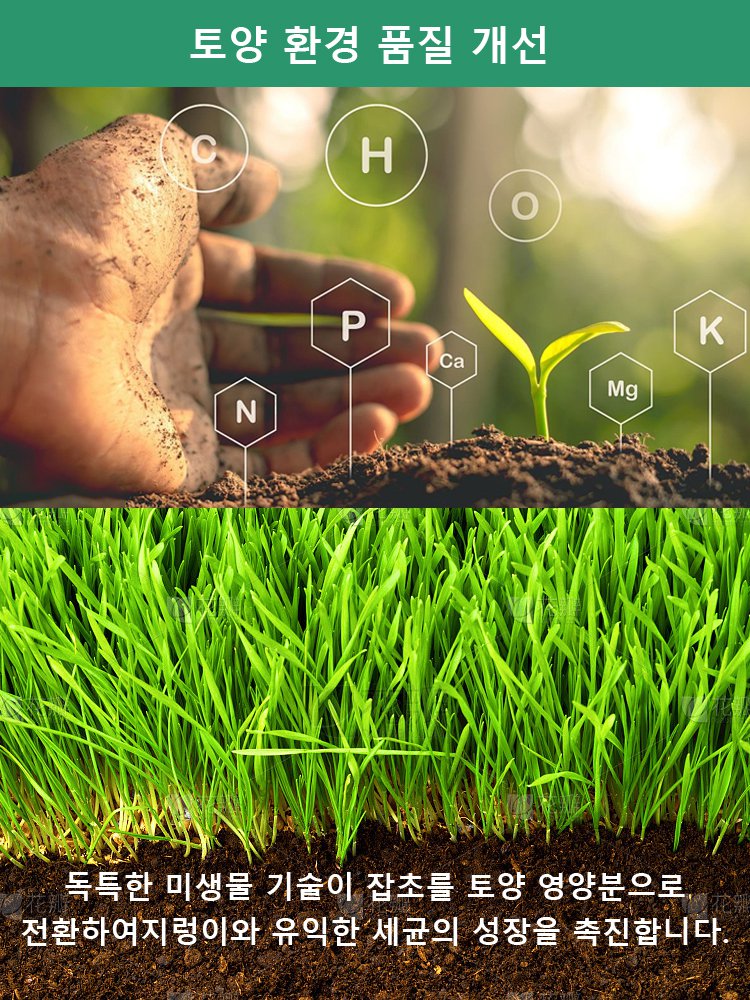 빠른 제초제, 깊은 뿌리 썩음 왕