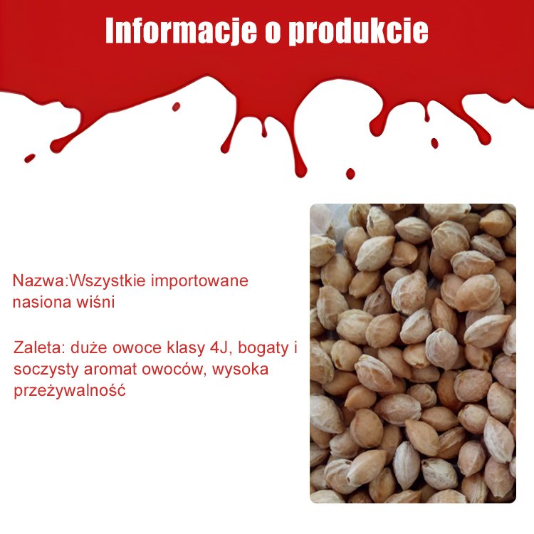 Wszystkie importowane nasiona wiśni