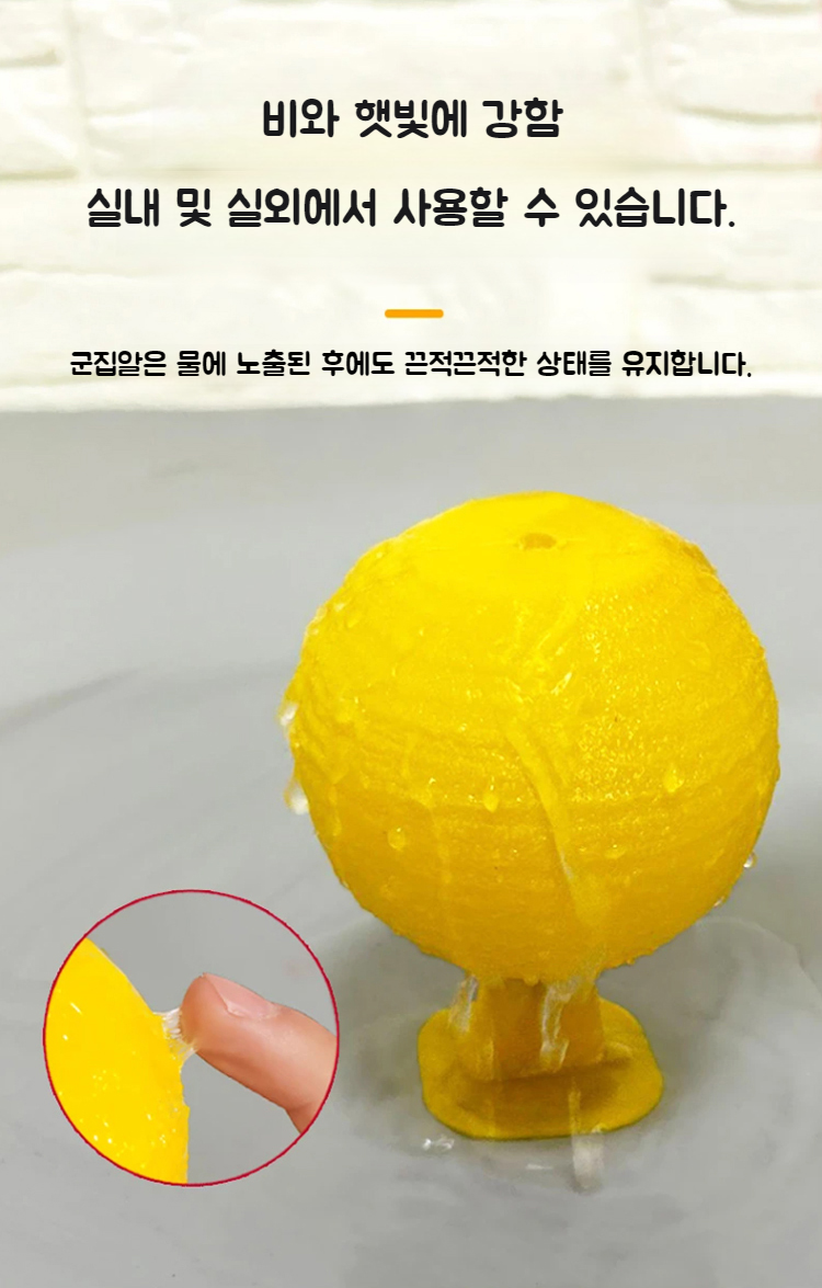 베란다에서 모기 퇴치 중인 유인볼