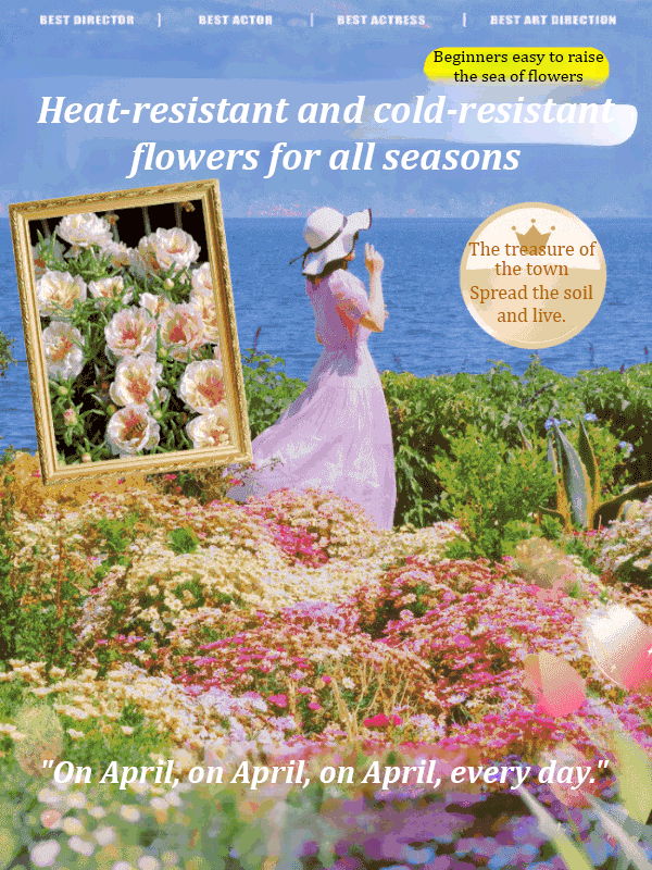 [Heat-resistant and cold-resistant four-season flower] Kaleidoscope