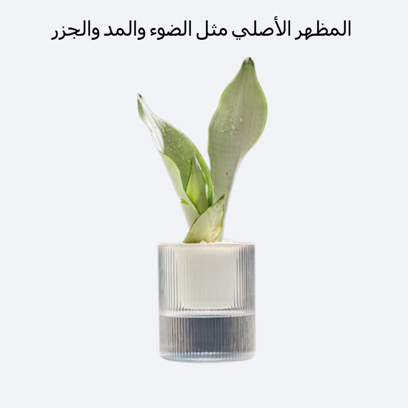 وعاء زهور لتخزين المياه