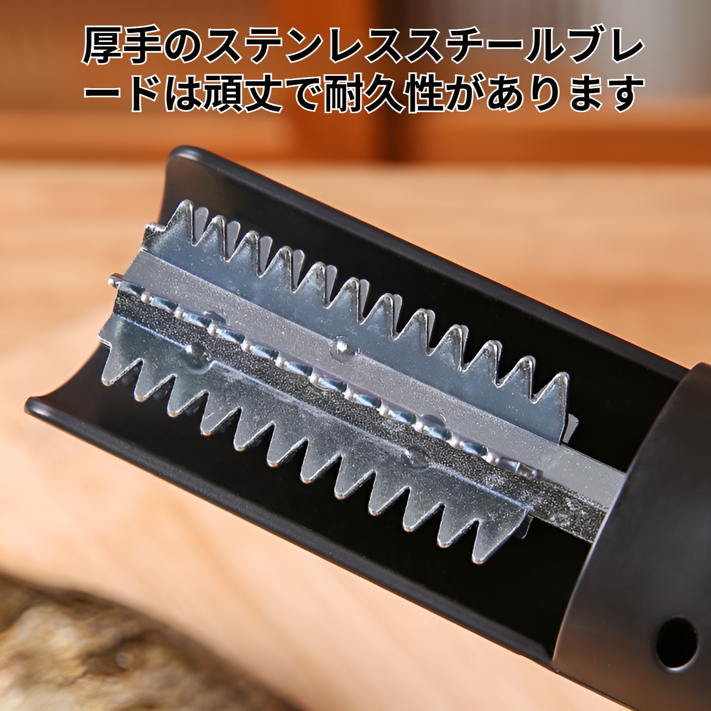 持ちやすいグリップの電動鱗取り器