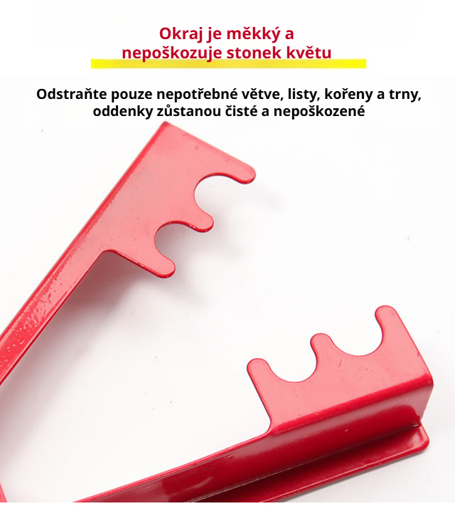 Kleště na trny vedle krásné růže bez trnů