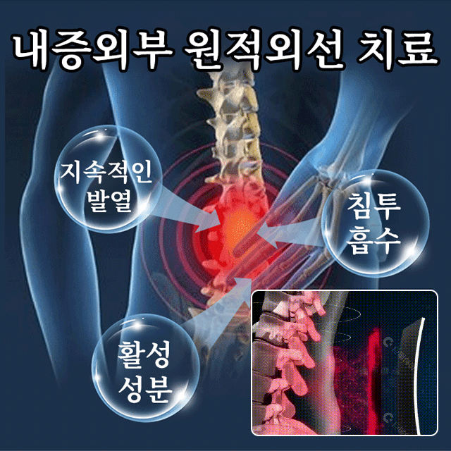 이시진 의약 요추 통증 완화 패치