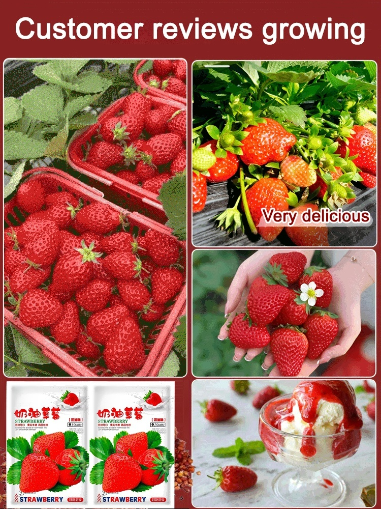 Sweet juicy creamy strawberry seeds