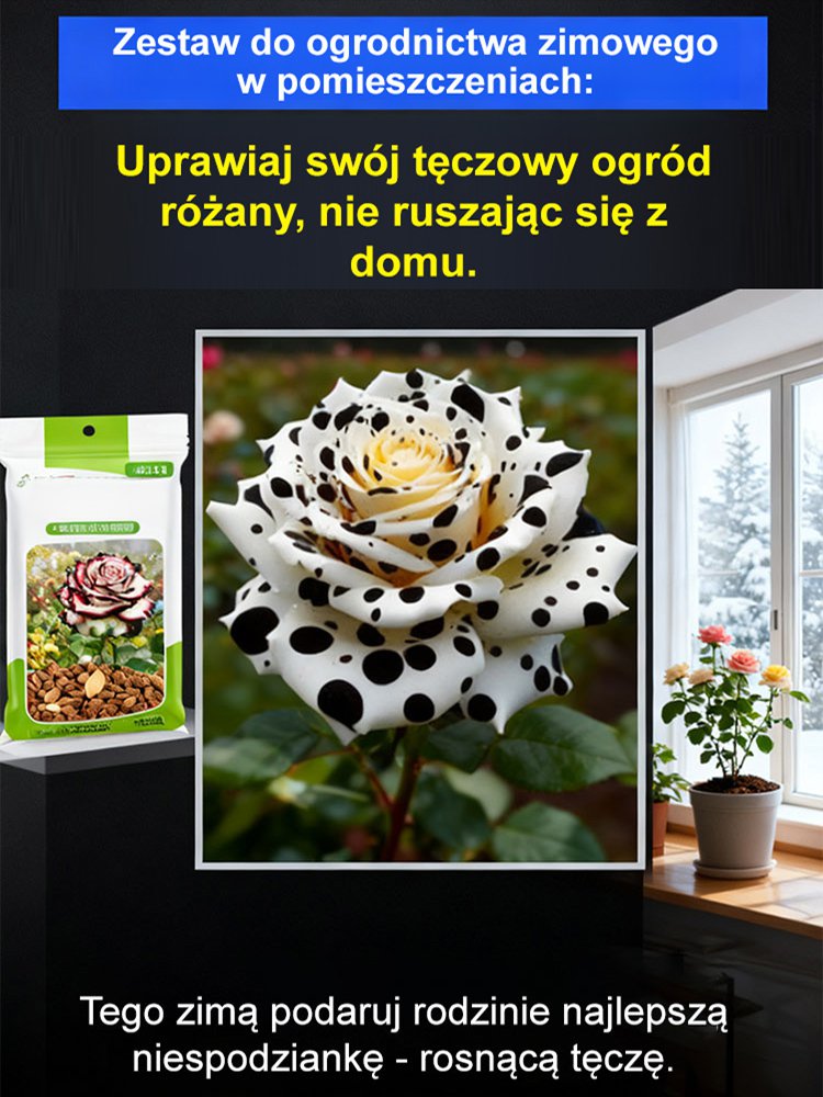 Nasiona wielogłowego plamistego róży.