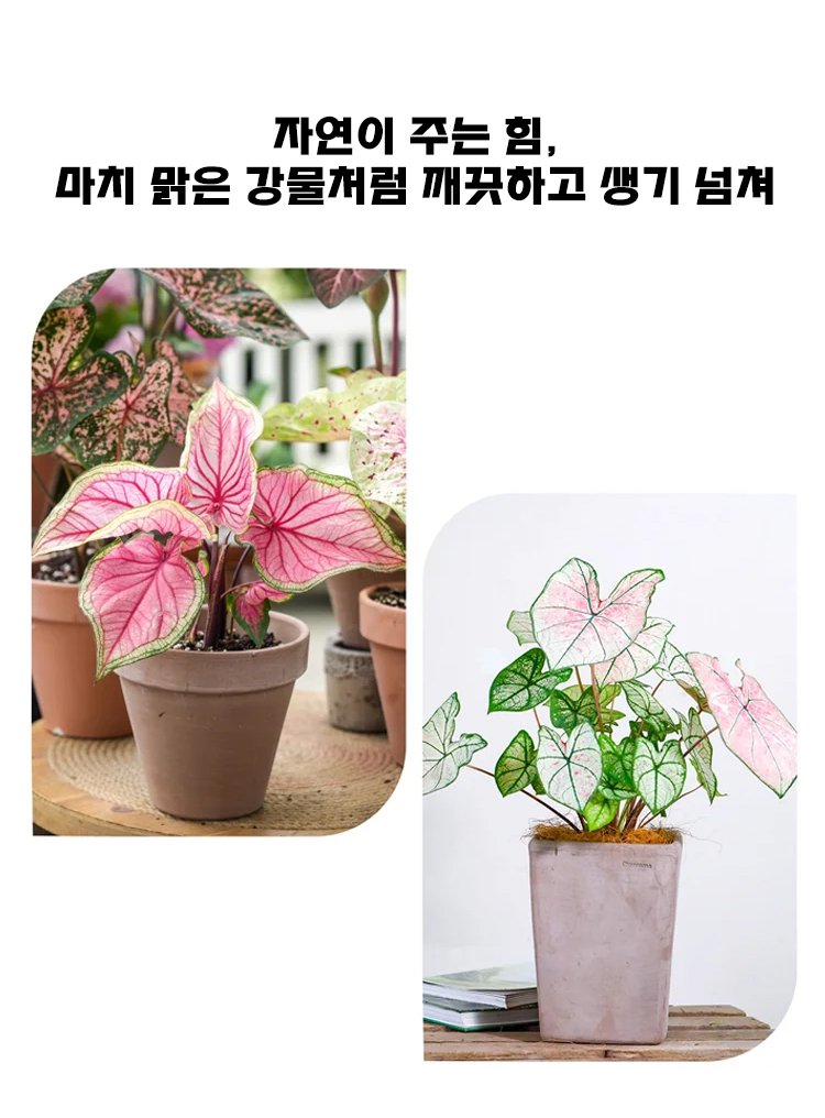 cyzy_24.jpg