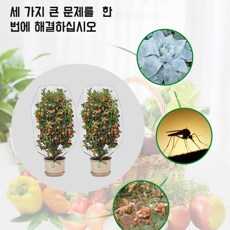 양식장 방충망덮개 사용 모습