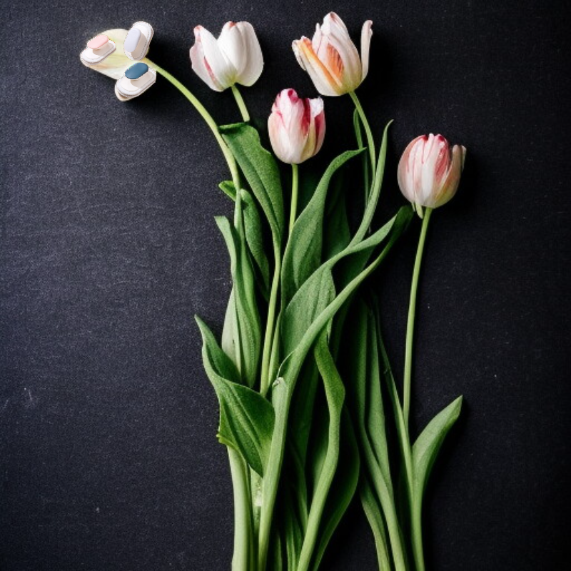 掃除用スポンジ