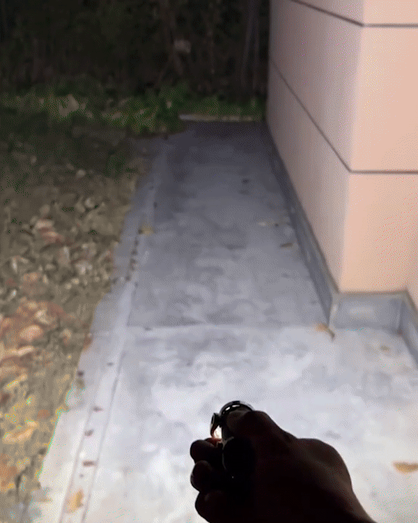 6.gif