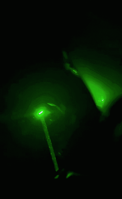 HFH-【超强功率】激光驱鸟器_05-1.gif