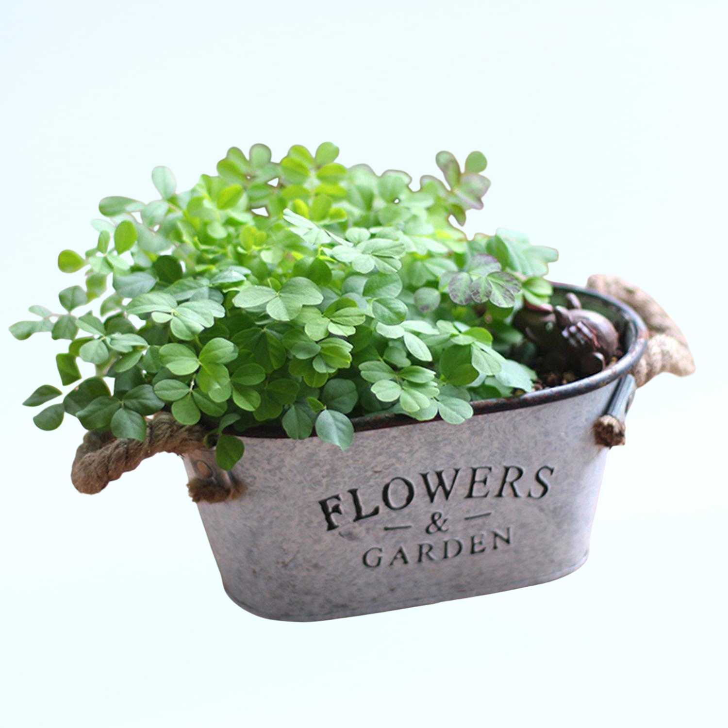 ヴィンテージ風でシンプルなトタン製の多肉植物用おしゃれな小型花器