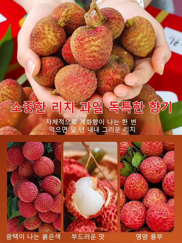 고품질 리치 씨앗