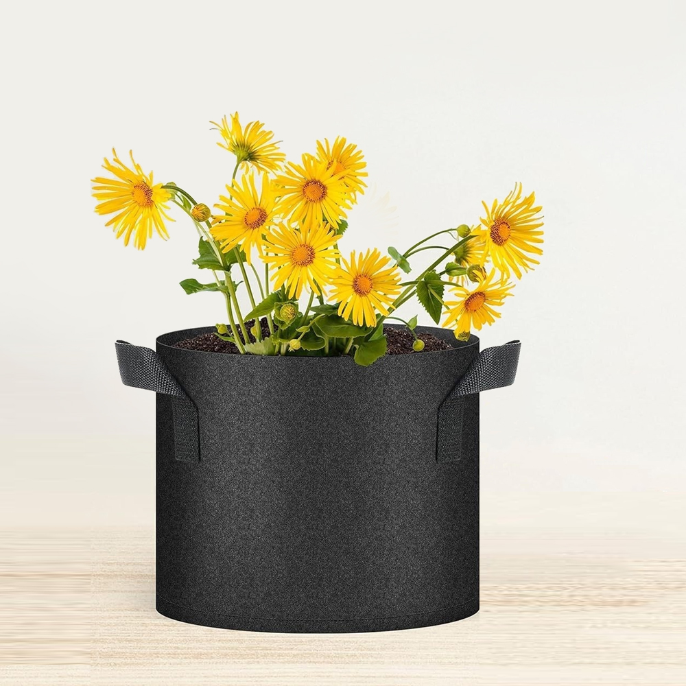 Ekologický filcový pěstební vak v domácím prostředí