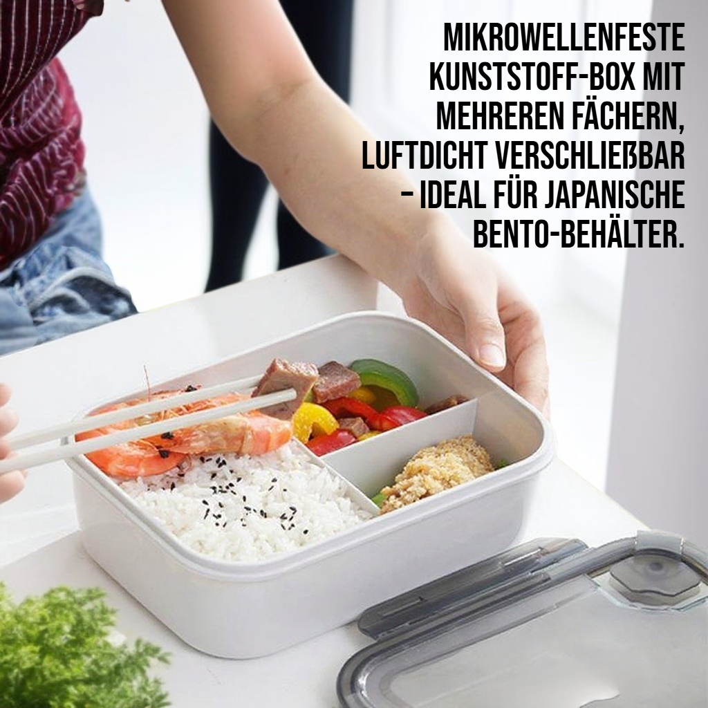 Sichere Multipartition Box mit Verschlusssystem