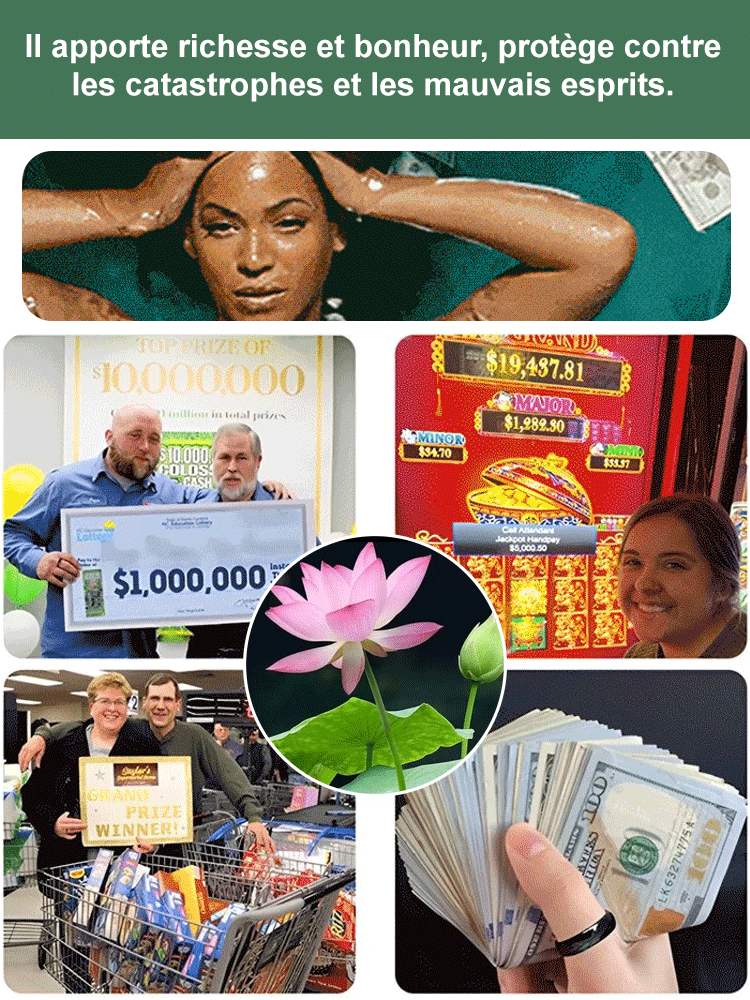 [Taux de germination très élevé] Lotus de la coupe de la chance