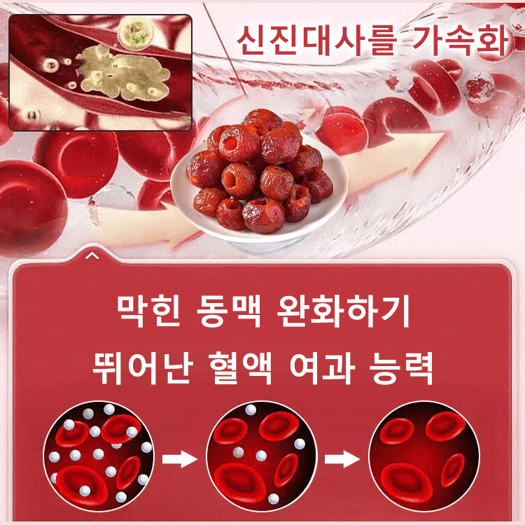 【세계 최고 부자의 장수 비법】고혈압, 고혈당, 고지혈증을 낮추는 씨 없음 공심 산사