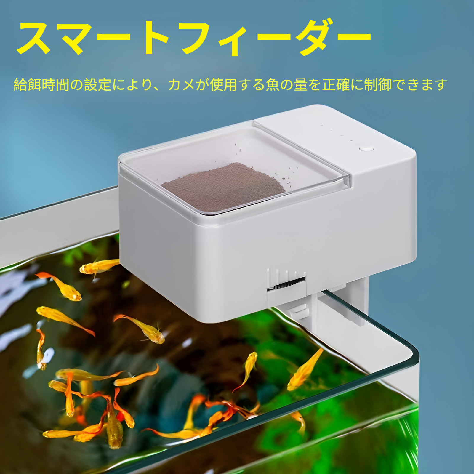 観賞魚用自動フィーダーの操作パネル拡大画像