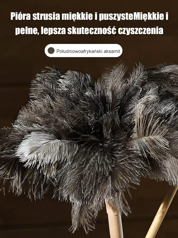 Ręcznie robiony miotełka do kurzu z piór strusia południowoafrykańskiego