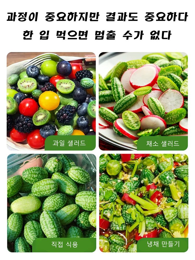 【쉽게 재배】엄지 수박 씨앗