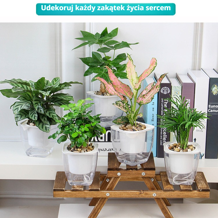 Całkowicie przezroczysta, automatycznie wchłaniająca wodę, leniwa doniczka