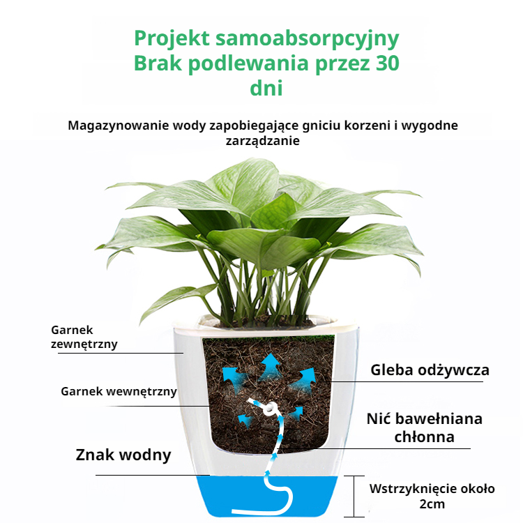Całkowicie przezroczysta, automatycznie wchłaniająca wodę, leniwa doniczka