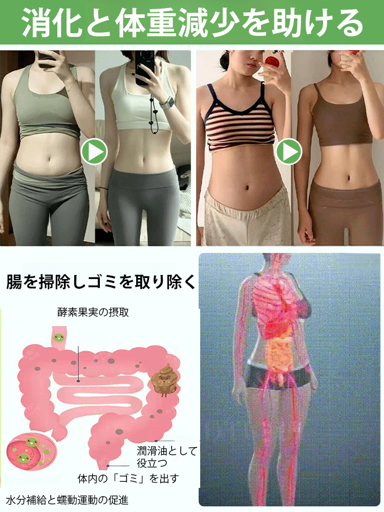 ヘルシーなドライキウイ