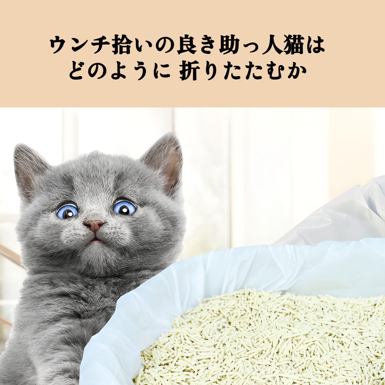 厚手素材の猫用トイレ袋の使用イメージ