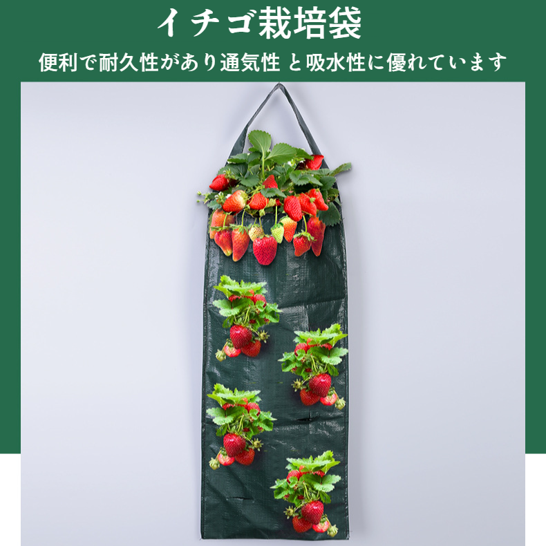 壁に取り付けられた黒いイチゴ植栽バッグの全体画像