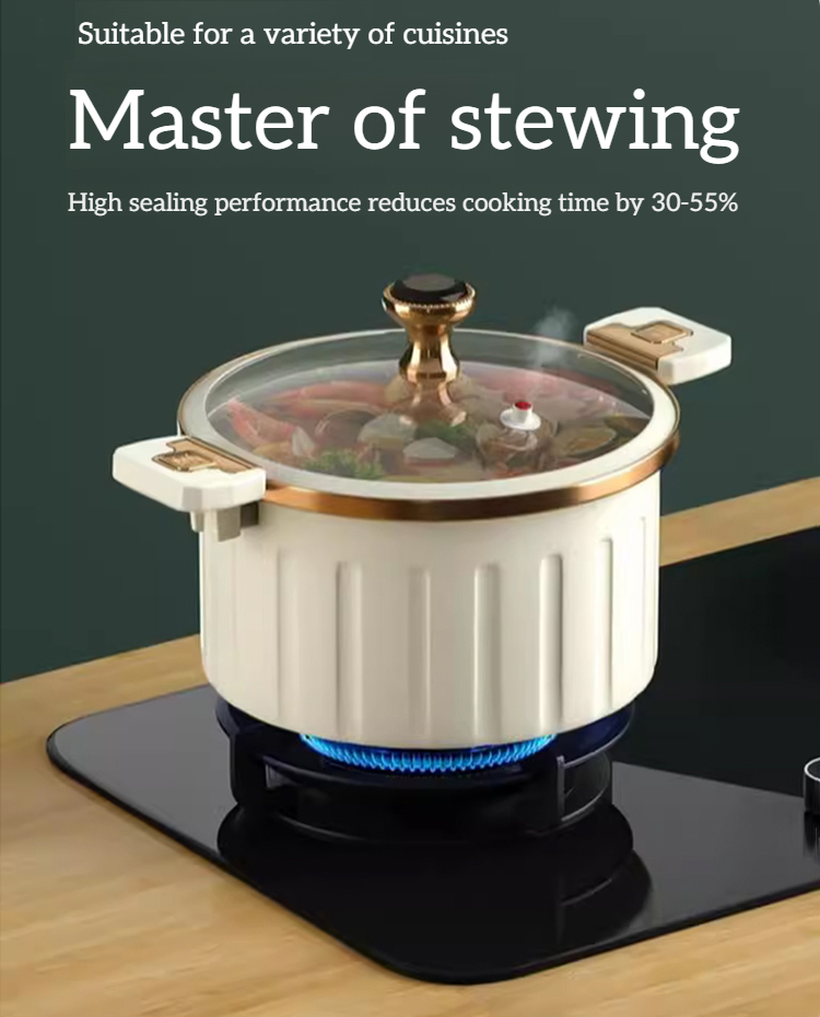 Multi-functional Micro Pressure Cooker