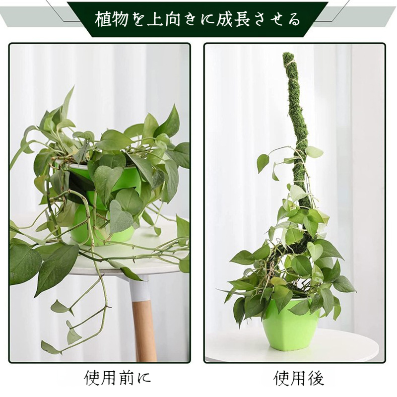 ガーデニングツールとラタンブラケットのセット