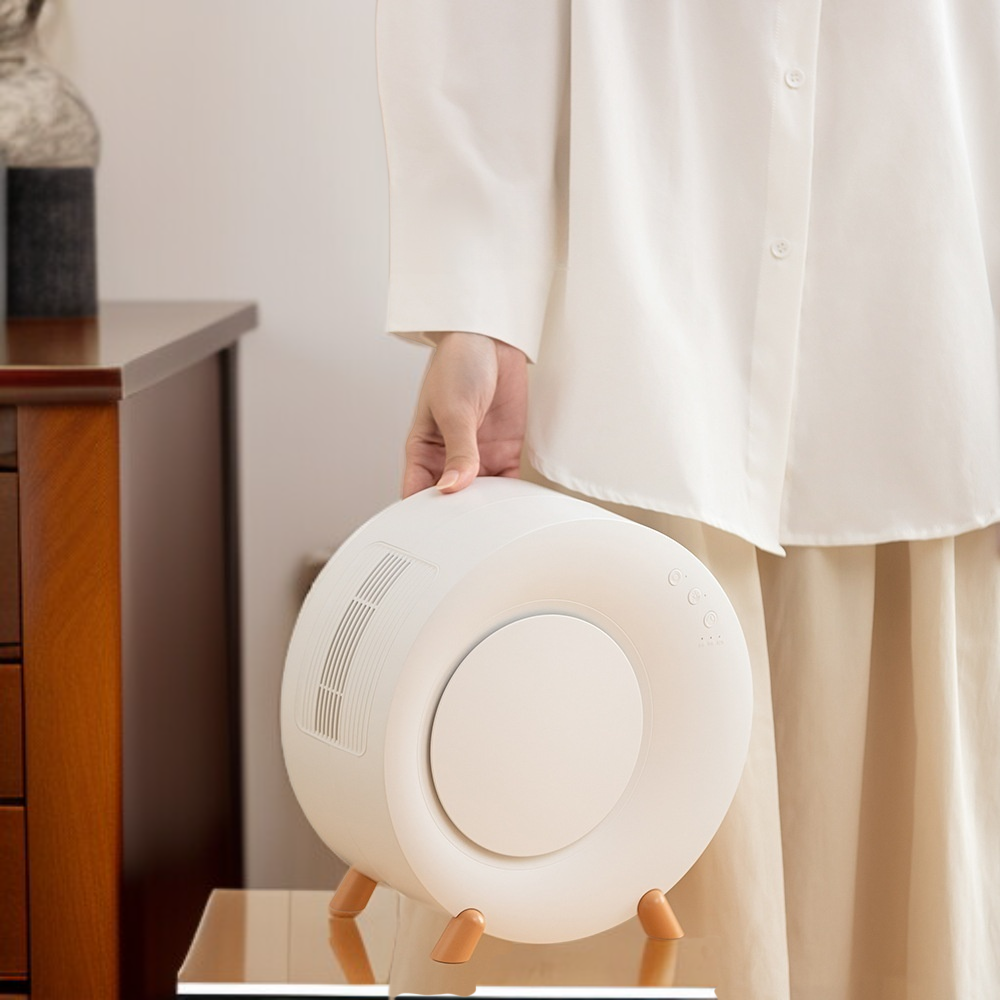 Déshumidificateur Mini Silencieux pour la Maison