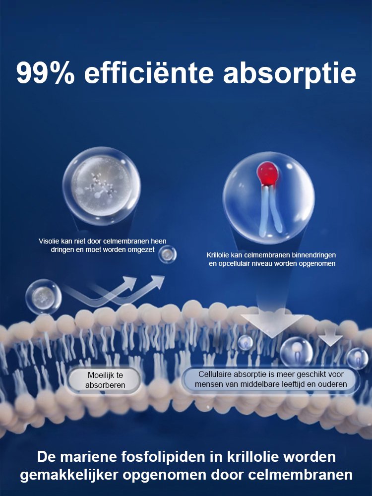 【Upgrade Efficient Version】Antarctische Krillolie