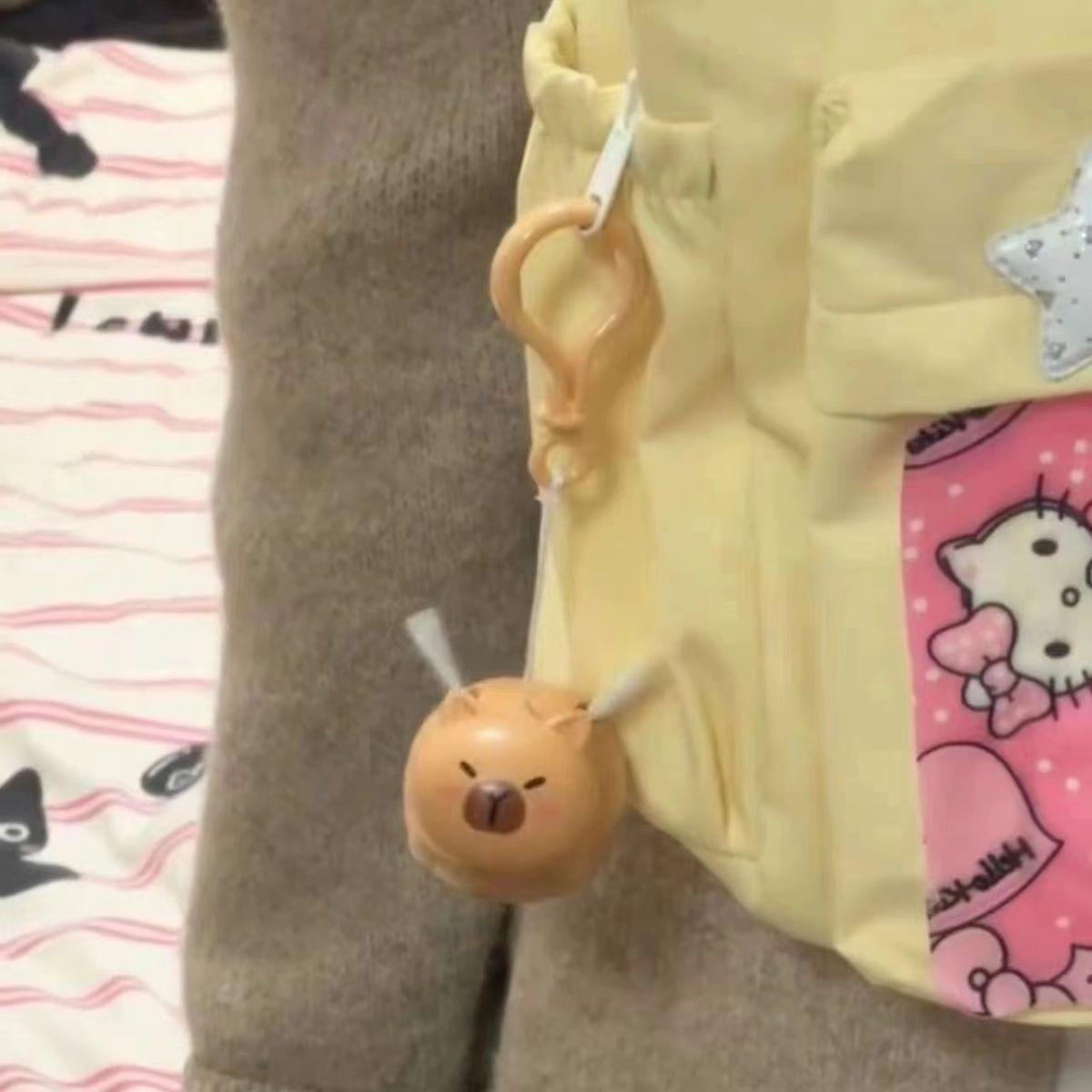 키링에 달린 날 수 있는 카피바라 돌고래 토이의 디테일