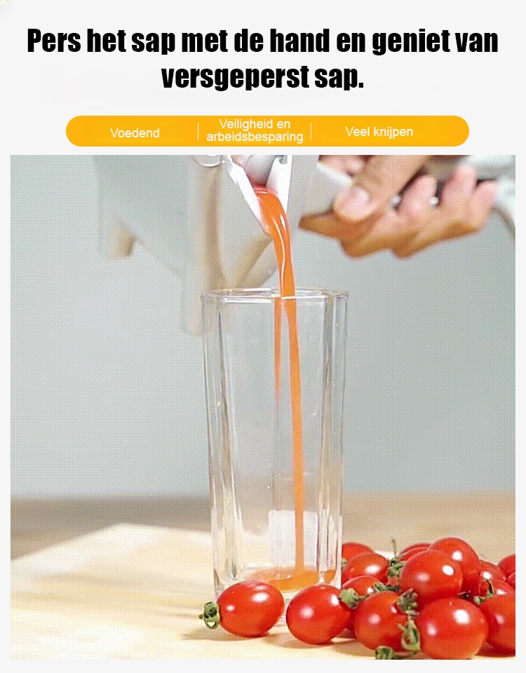 Originele Smaak Multifunctionele Handmatige Juicer