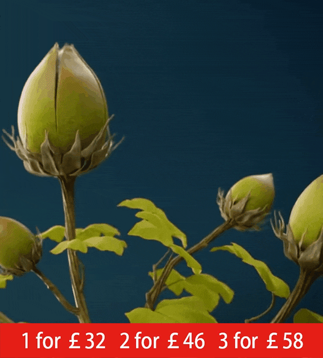 Fashionable solid color cotton and linen casual set