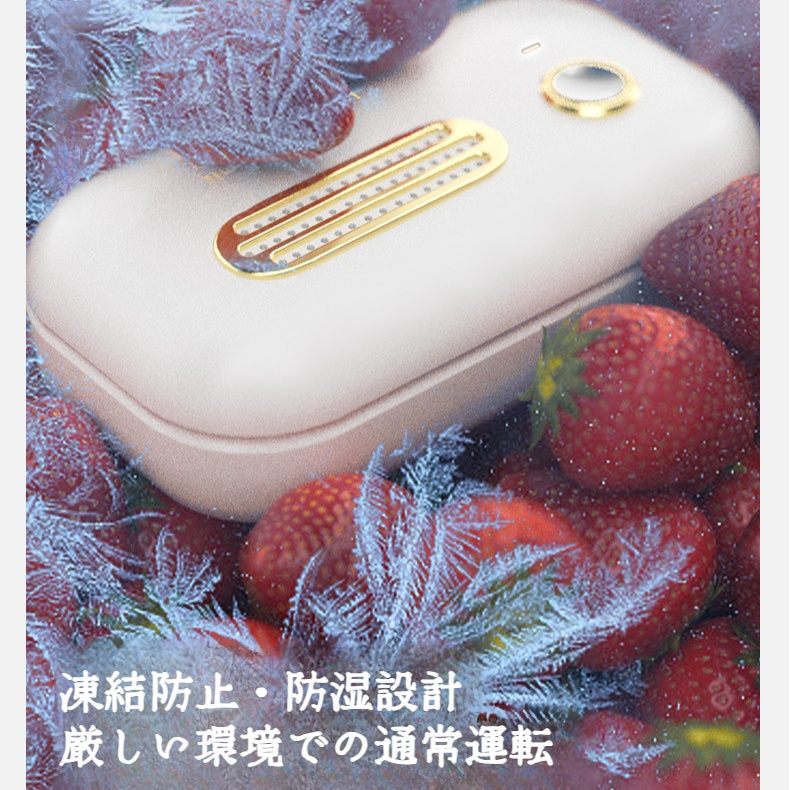 車のオゾンの脱臭装置は臭気の滅菌装置のワードローブの空気清浄器を取除きます