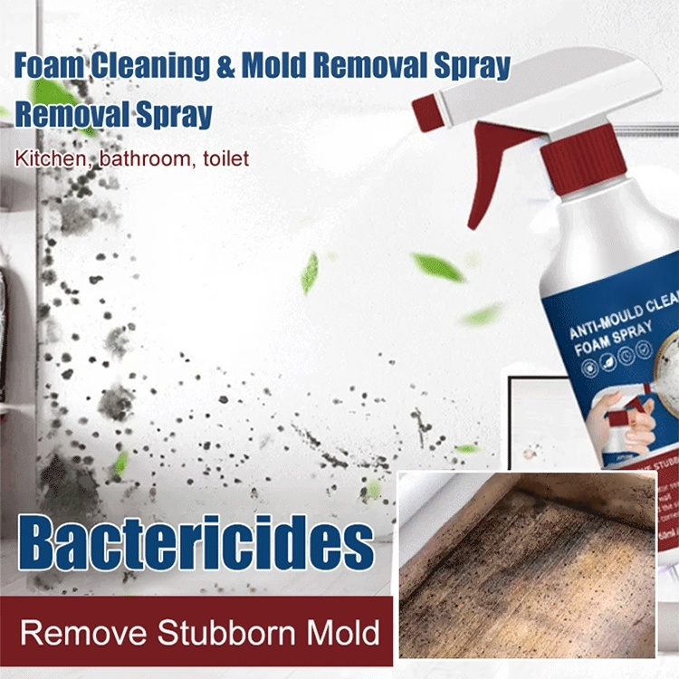 Bubble cleaning mold spray