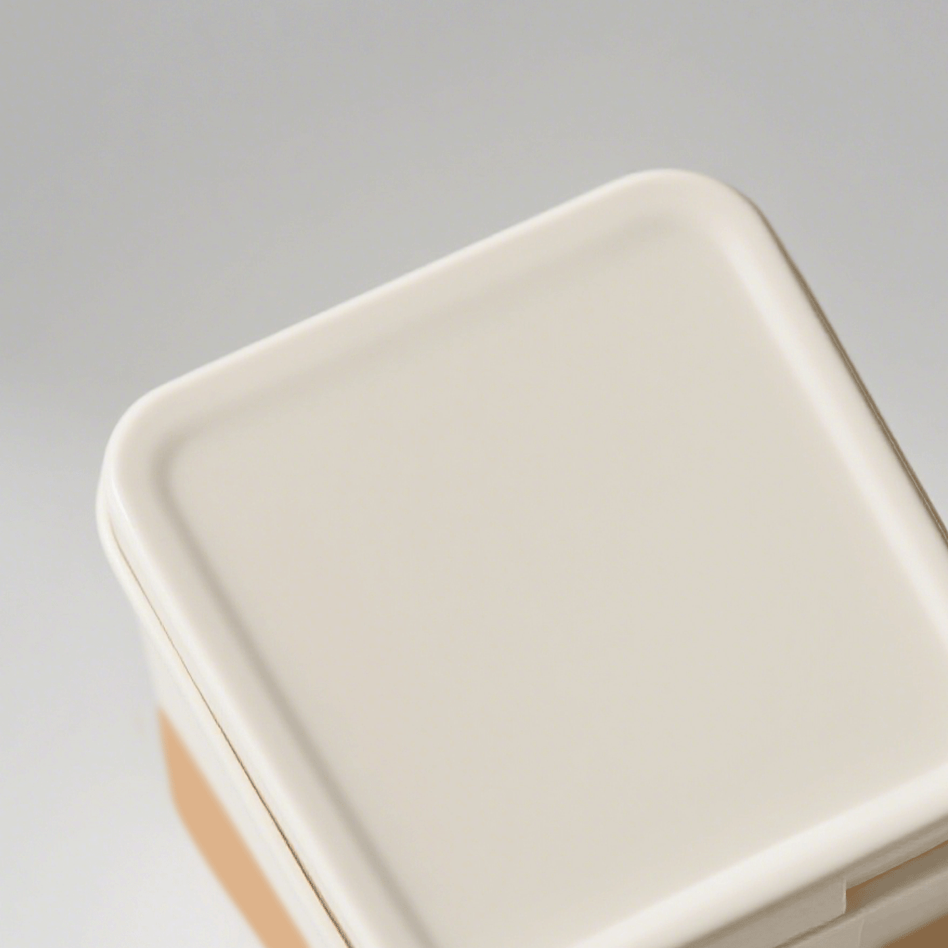 Contenedor Hermético de Plástico para Arroz