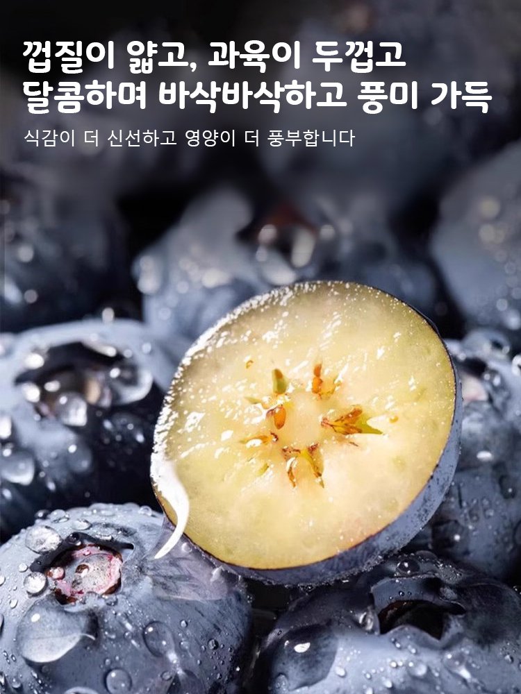 다품종 블루베리 씨앗