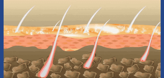 20240828_100834_298.gif