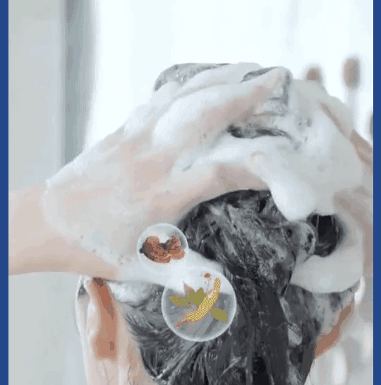 74cc79ba483e4b64853a4b1b5c572a12.gif
