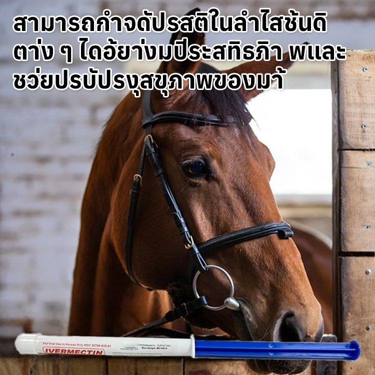 ยากันแมลงสำหรับพืชและสัตว์เลี้ยง